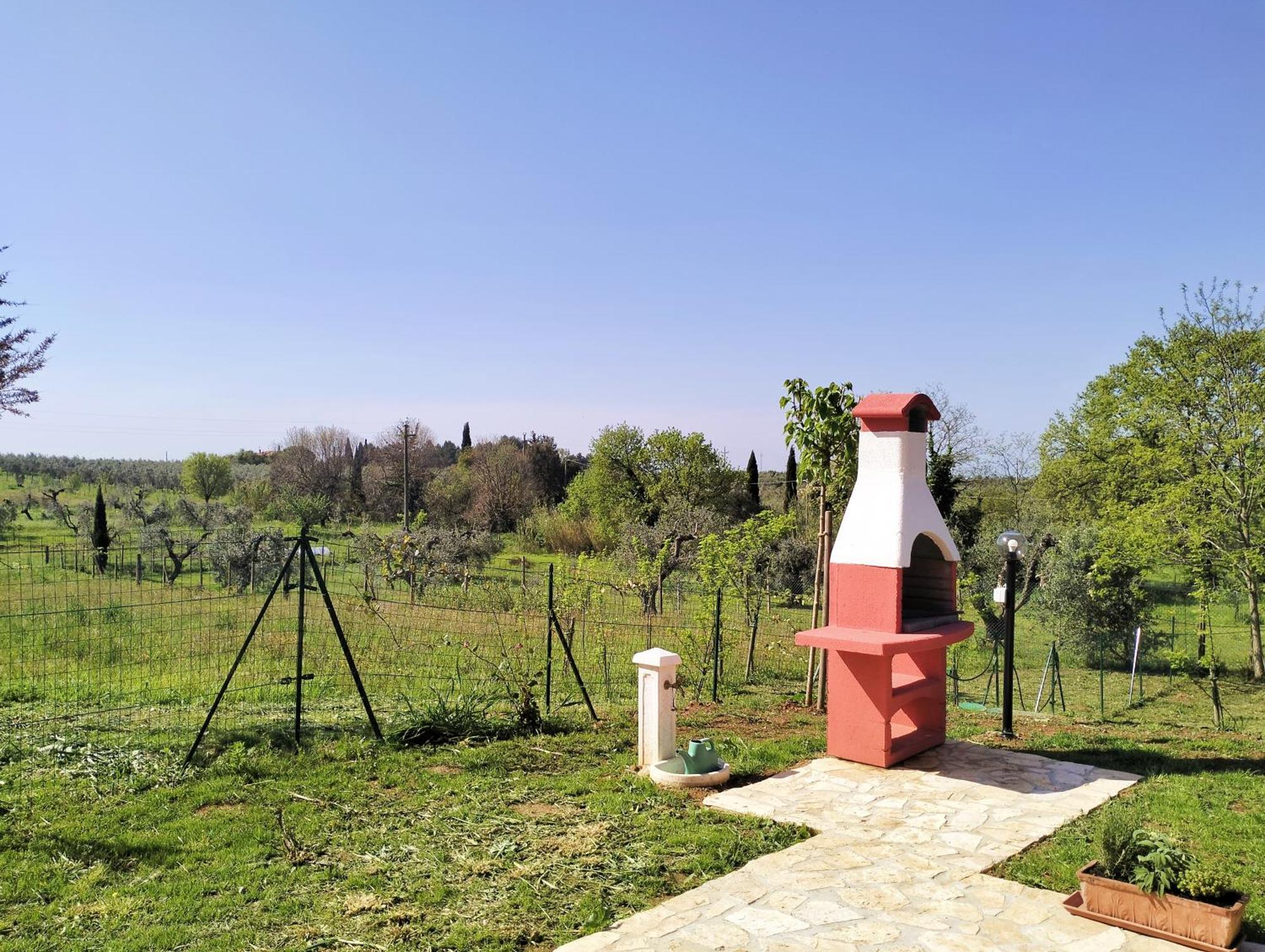 Villetta Fedora Immersa Nel Verde Cecina  Exteriör bild
